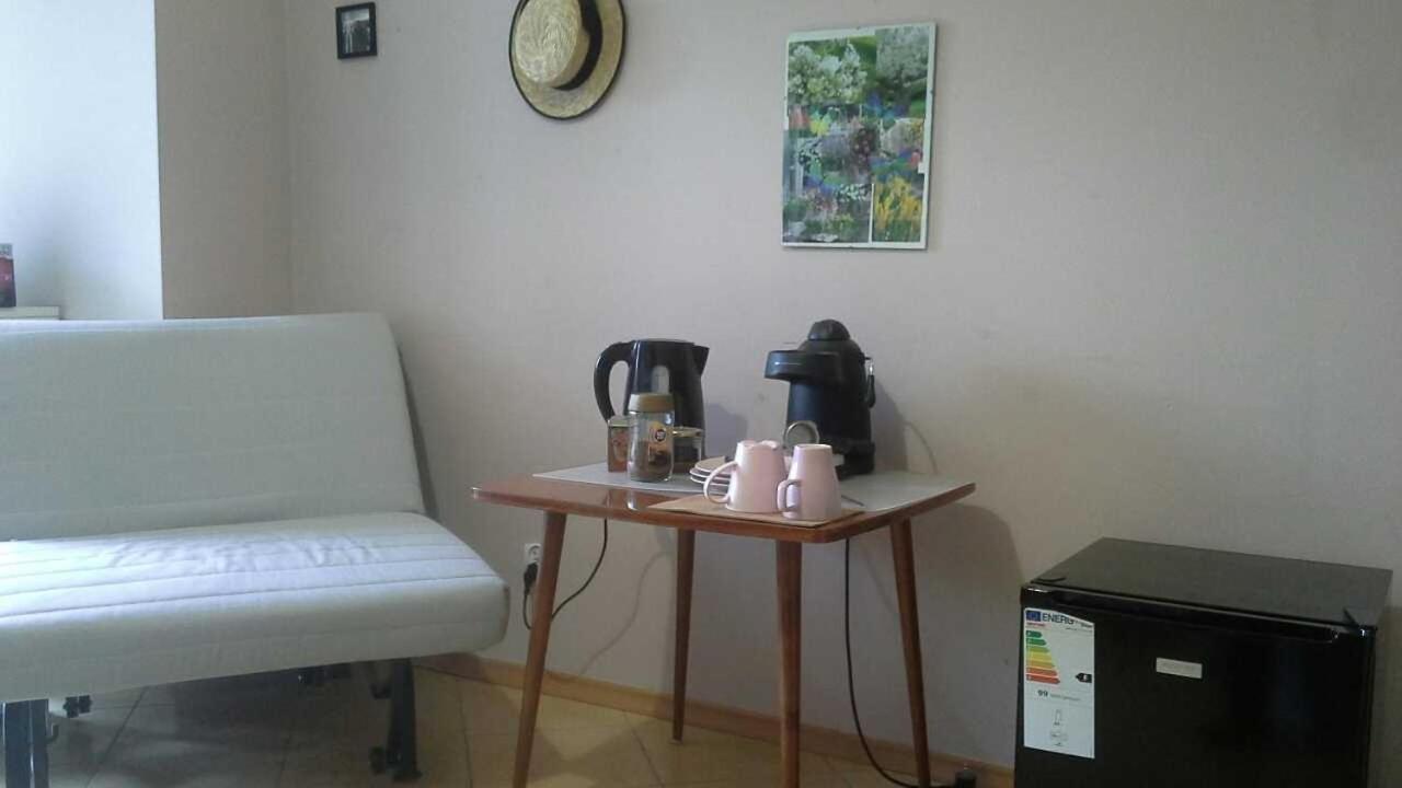 פוזנן Apartament Paderewski מראה חיצוני תמונה