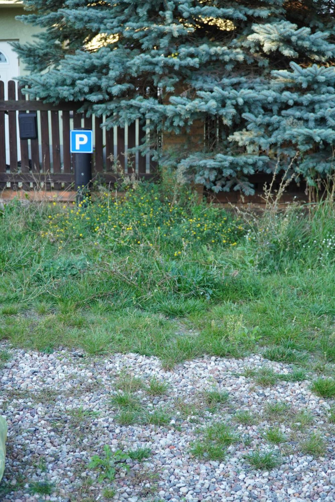 פוזנן Apartament Paderewski מראה חיצוני תמונה